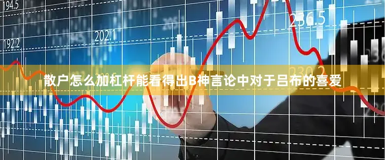 散户怎么加杠杆能看得出B神言论中对于吕布的喜爱