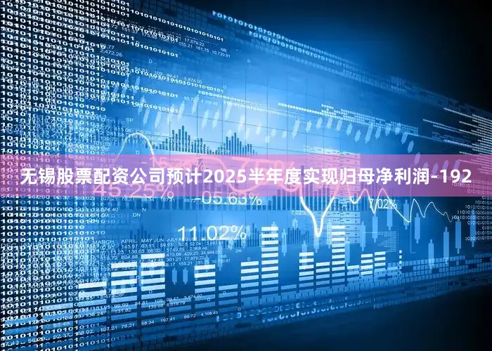 无锡股票配资公司预计2025半年度实现归母净利润-192