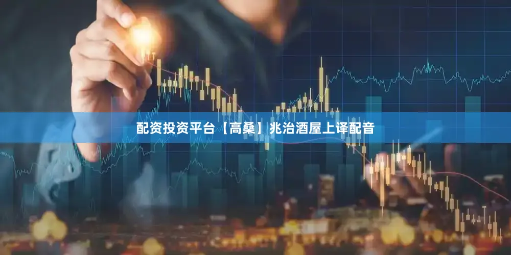 配资投资平台【高桑】兆治酒屋上译配音