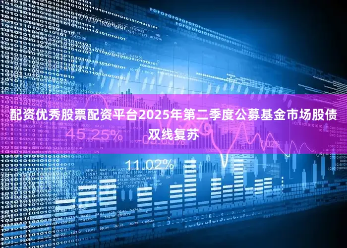 配资优秀股票配资平台2025年第二季度公募基金市场股债双线复苏